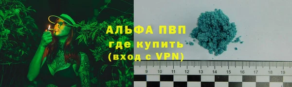 ГАЛЛЮЦИНОГЕННЫЕ ГРИБЫ Козельск